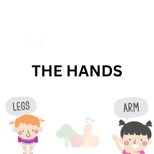 The Hands